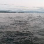 あけましておめでとうございます