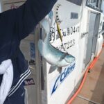 グレジギング グレジギング